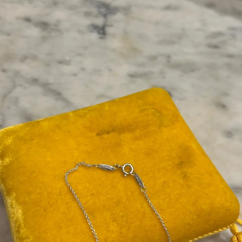 Tiffany & Co. SIlver Elsa Peretti Circle Necklace - Picture 5 of 5